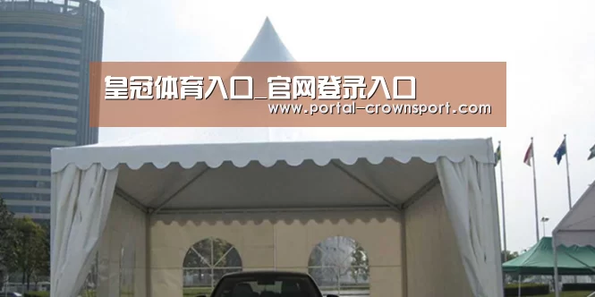 案例标题八(图1)
