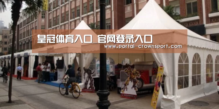 案例标题九(图1)