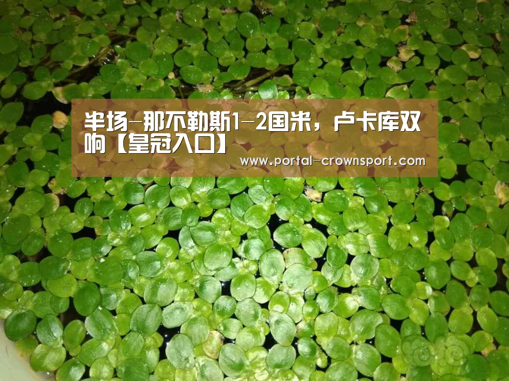 皇冠体育下载