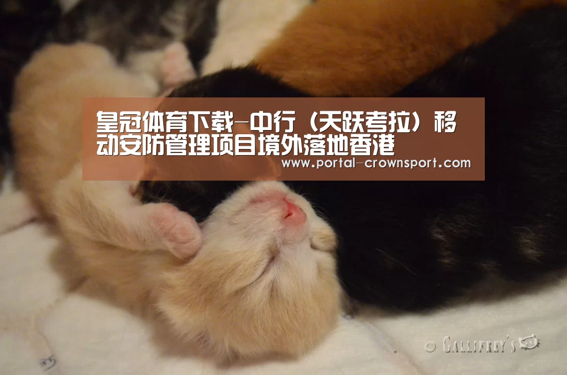 皇冠体育下载-中行(天跃考拉)移动安防管理项目境外落地香港(图1) 皇冠体育官网